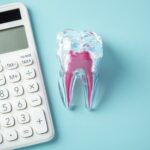 歯の根管の模型と治療費のイメージ