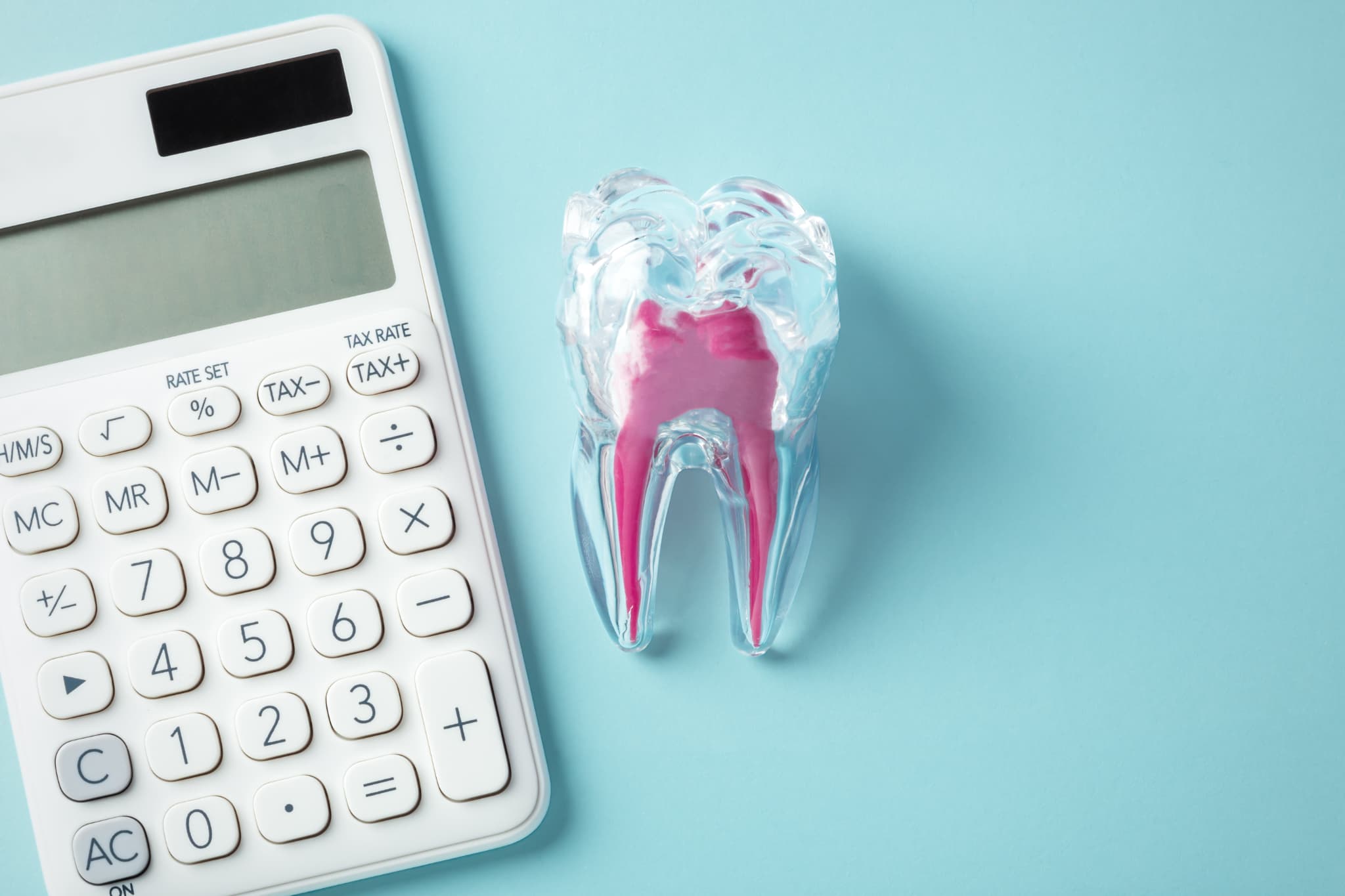 歯の根管の模型と治療費のイメージ